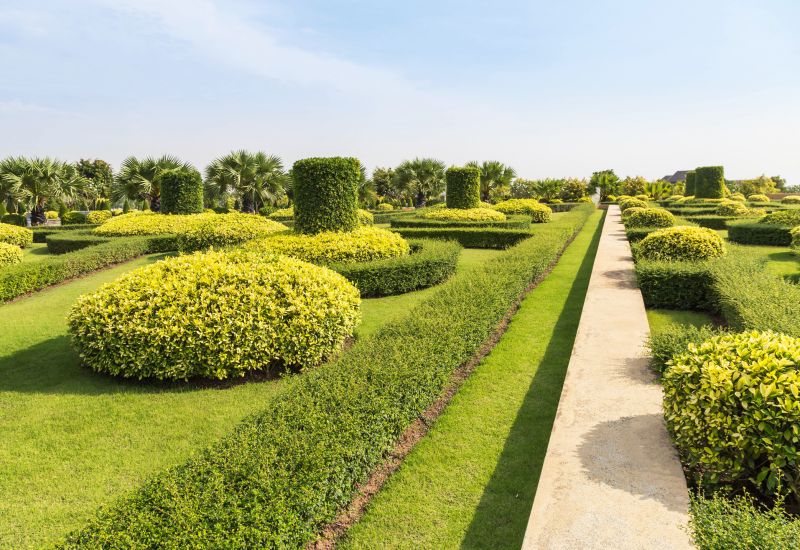 Decorative Hedge Design