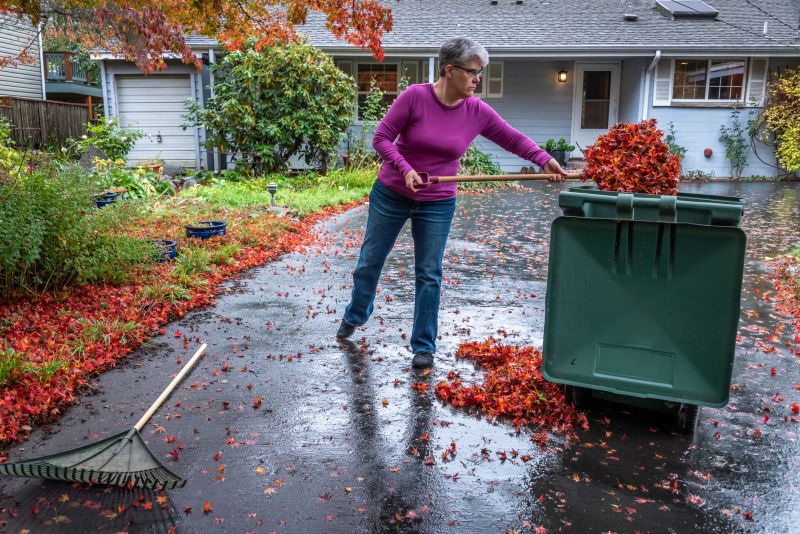 Seasonal Yard Cleanup