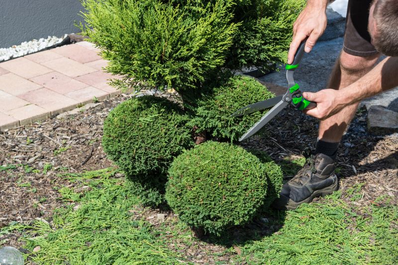 Pruning Bushes for Shape